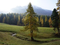 glacierexpress12
